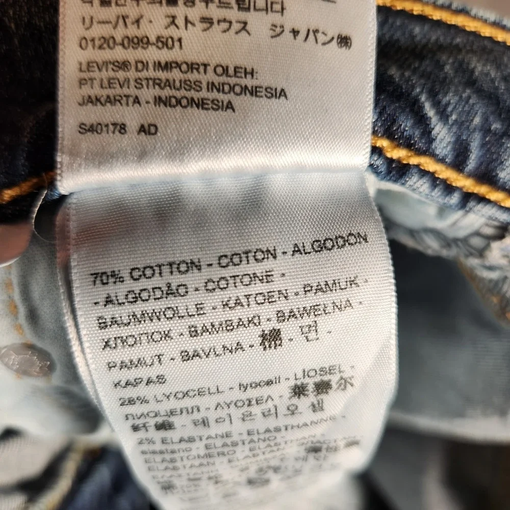 Levis levi 541